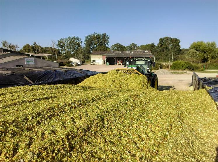 L’objectif de l’opération de tassage de l’ensilage est de chasser l’air et donc l’oxygène de la masse de fourrage.