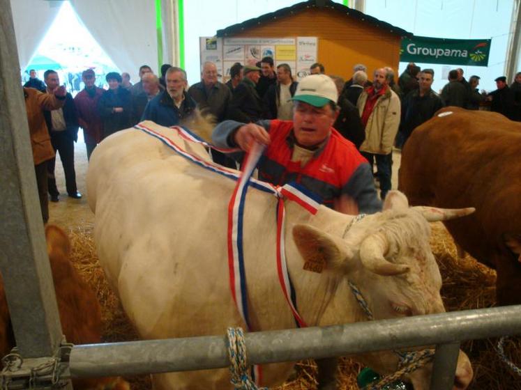 La foire concours a rassemblé 252 animaux de boucherie.