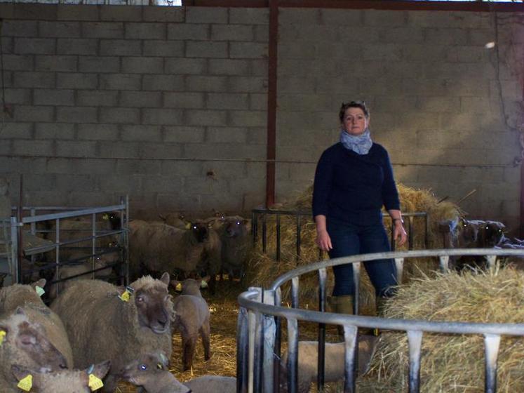L’élevage des brebis repose depuis le début sur un assolement « 100% herbe, sur des terres pas très bonnes, très humides en hiver », souligne Fiona Guillon.