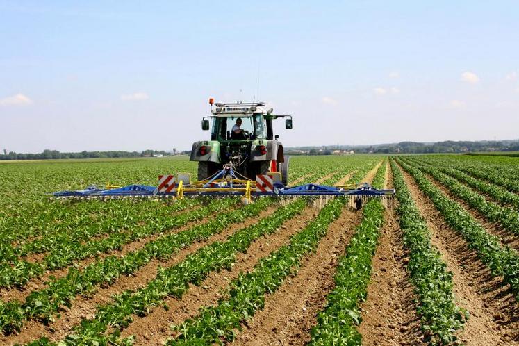 La deuxième table ronde a permis de mettre en avant la nécessaire innovation en bio, notamment en ce qui concerne le machinisme.