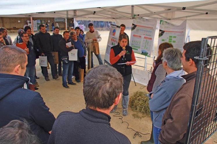 L’enjeu des systèmes d’élevage caprins est de gagner en autonomie énergétique et alimentaire pour concilier performances économiques et environnementales.