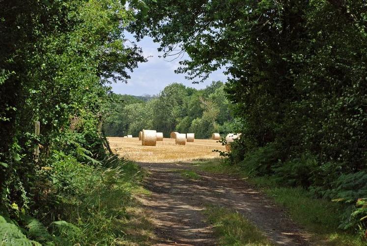 En 2011, la remontée des prix n'a pas compensé celle des coûts de production.