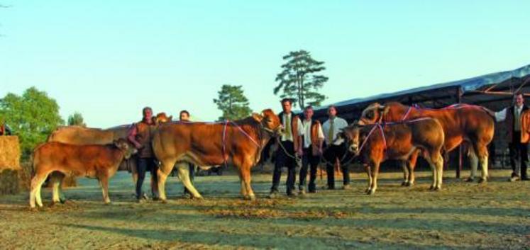 Les quatre champions réunis : jeunes mâles, taureaux adultes, jeunes femelles, vaches adultes.