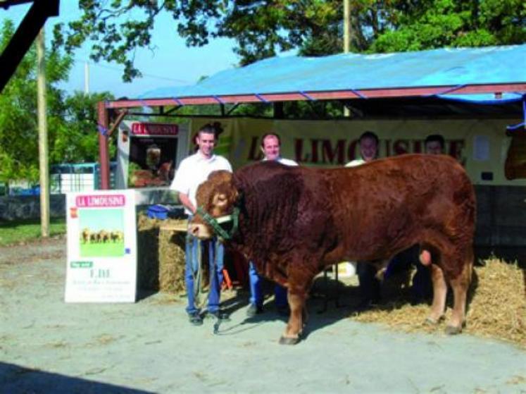 Le taureau Aldo du Gaec la Laitière a attiré le regard du public.