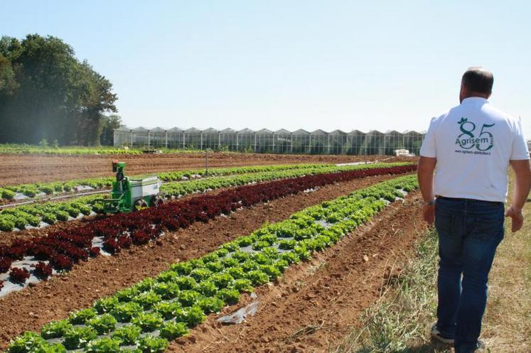 Le robot OZ440, conçu par Naïo Technologies, une entreprise toulousaine, réduit l’utilisation d’herbicides chimiques et permet de gagner en efficacité.