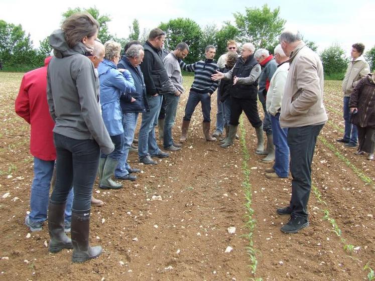 La visite d’une parcelle de maïs et de tournesol a permis de montrer l’efficacité de l’usage de l’herbi-semis.