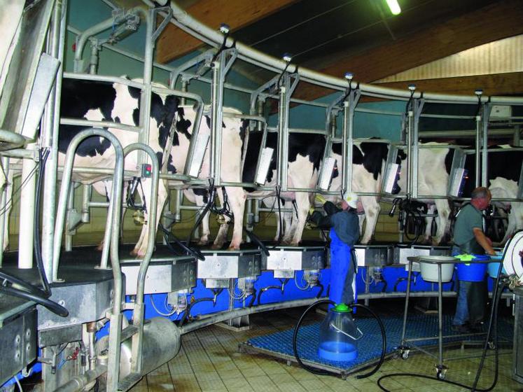 30% des vaches dans des exploitations de plus de 100 vaches