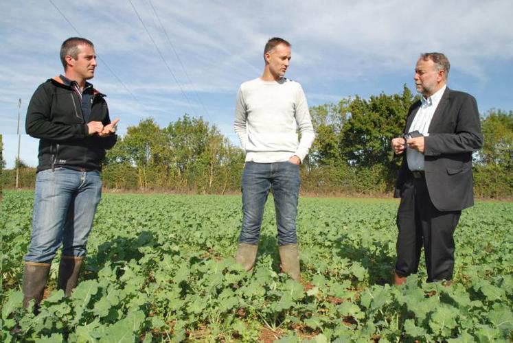 Préconiser des itinéraires techniques raisonnés avec les agriculteurs.