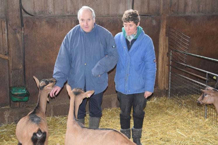 Alain et Christine Delaunay vendent environ 20 boucs et une centaine de chevrettes par an.