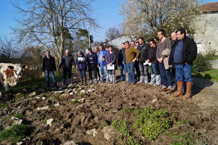 Sur l’exploitation des Demon (Gaec soeur-frère) au Bouchage.