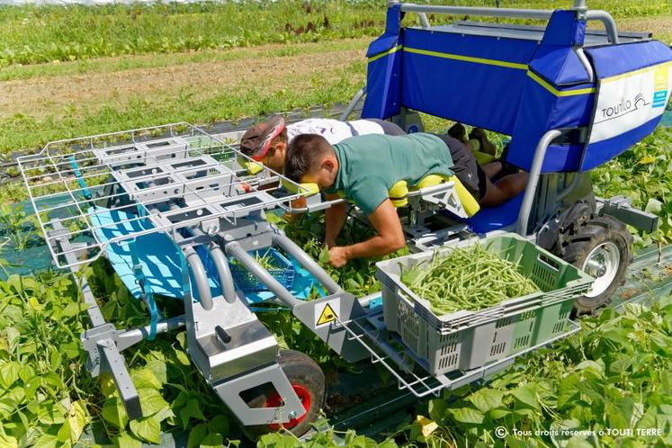 Le Toutilo permet de réduite la pénibilité du travail en proposant trois postures différentes : la position allongée sur le ventre pour planter et récolter, au lieu de rester accroupi pendant plusieurs heures pour réaliser ces mêmes tâches, debout à côté de l’engin ou assis dessus.