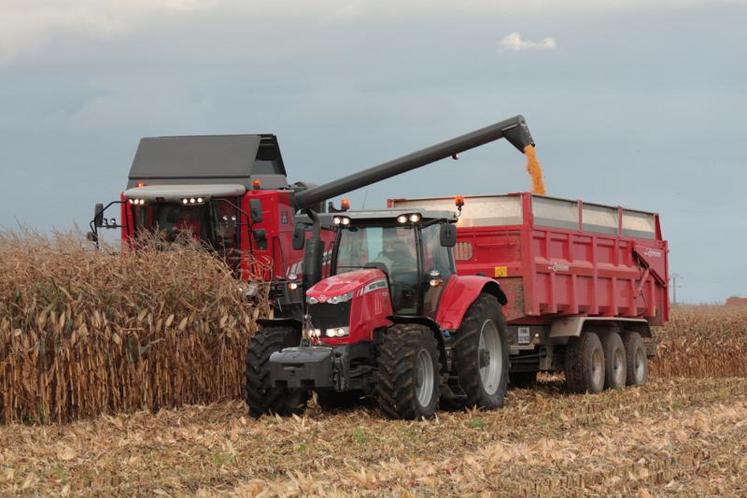 En Charente, le rendement du maïs grain est estimé aux alentours de 100 q/ha.