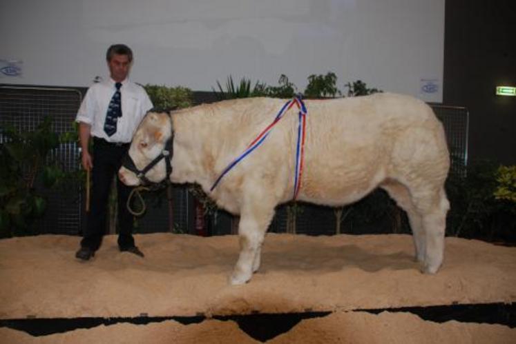 1er prix d'honneur veau femelle de l'année 2007 Colchique appartenant à Jacky Longepe (49).