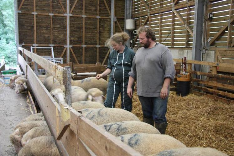 Vol de matériel, de légumes en plein champs ou d'animaux comme chez Vincent Courilleau (photo), le phénomène prend de l'ampleur à tel point que les pouvoirs publics décident de lancer