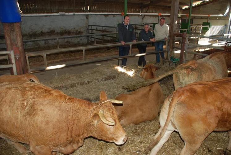 Jean-Yves Sansault, Jérôme Laurent et Gaël Brousseau espèrent que l’engagement des différents maillons de la filière pour produire de la viande de qualité marquera les esprits.