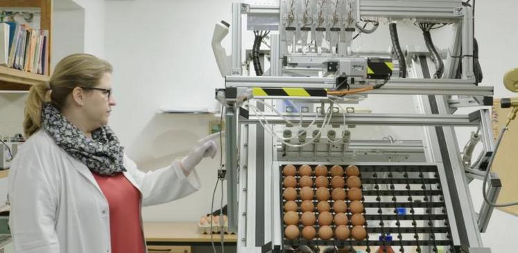La start-up Seleggt commercialise depuis novembre 2018 sa technique de sexage des oeufs.
