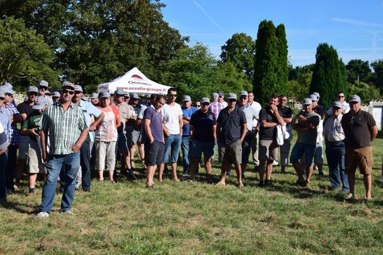 Près de 200 viticulteurs ont assisté aux plateformes d’essais d’Ocealia le 26 juillet à Segonzac.