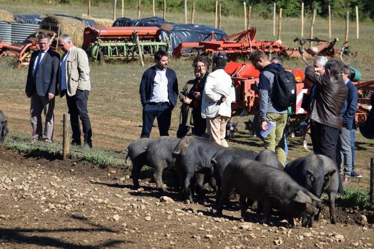 Les services de l’État ont découvert un bel exemple de diversification sur une exploitation familiale 
à Torsac. Emmanuel Bonnier est installé officiellement depuis le début de l’année.