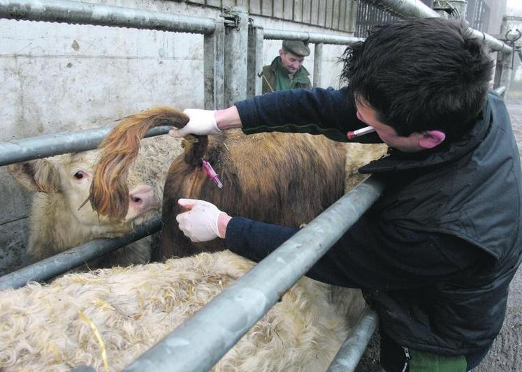 Les producteurs eux-mêmes à travers leur structure, les GDS, seront force de proposition.