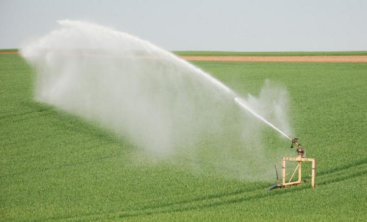 Jean-Marc Renaudeau rappelle qu’une grande majorité des exploitants respectent le cadre légal, et notamment les restrictions d’irrigation en cours dans le département.