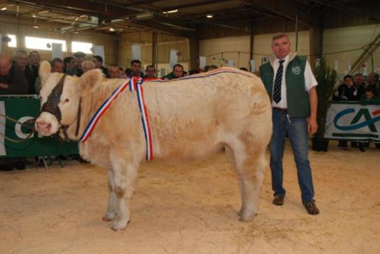 Ballotine, du Gaec Bonnet de Largeasse, a remporté le trophée de l'Ouest femelles junior.