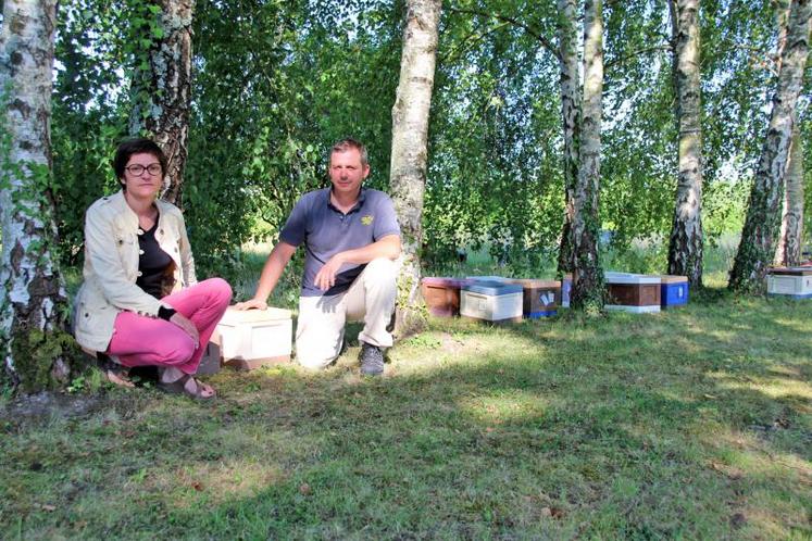 Émilie et Thomas Freslon devant les cadres où sont élevées les abeilles nées sur leur exploitation.