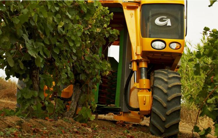 Médaille d’or pour Grégoire