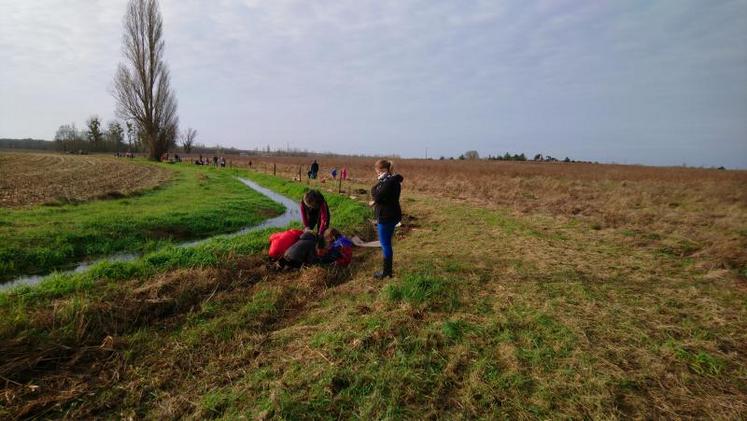 Début décembre, des travaux de reboisement de berges ont eu lieu avec de jeunes élèves du secteur.