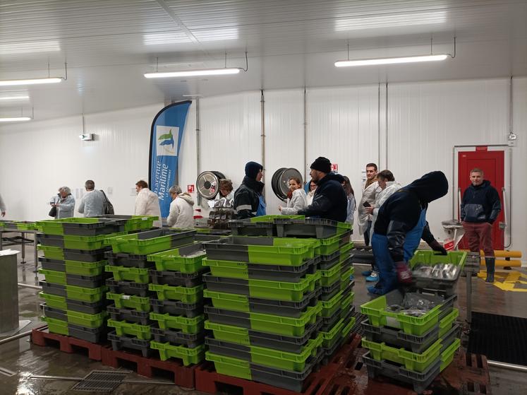 Une des visites s’est déroulée au port de la Cotinière.