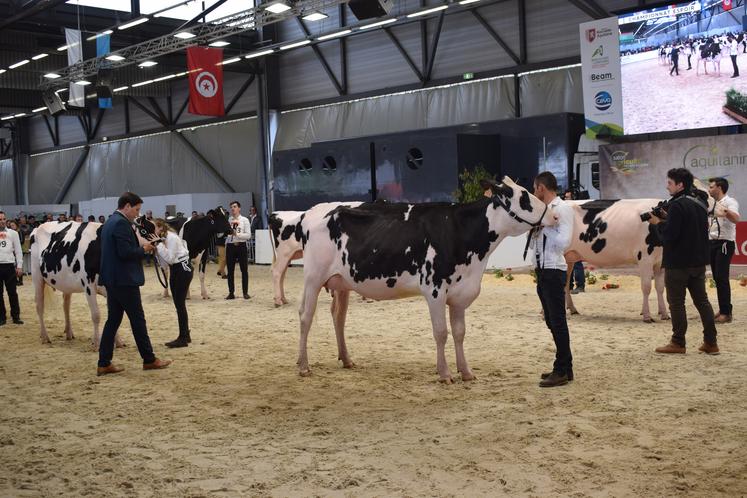 À l’image de la qualité du concours Prim’Holstein, Aquitanima est un événement qui reste prisé pour les éleveurs de la région, et au-delà. 