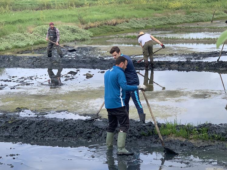 Le saunier a bénéficié d’une main d’œuvre gratuite… et motivée.