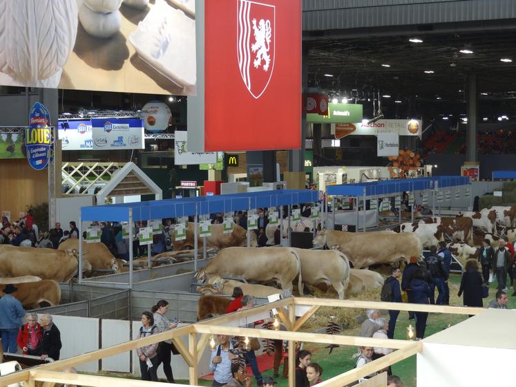 Même si le contexte est parfois difficile, les allées du Salon International de l’Agriculture sont toujours pleines. La Nouvelle-Aquitaine y répond présente. (Photo d'archives)