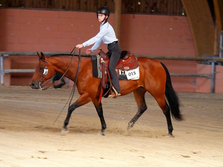 L'équitation