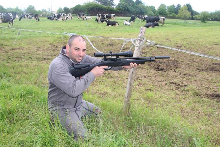 Avec ses carabines à air comprimé, Fabien Delage se rend 
sur les exploitations agricoles et chasse le pigeon domestique.