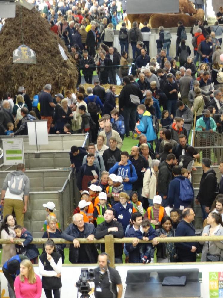 Le Salon de l’agriculture a vu sa fréquentation légèrement baisser pour son édition 2019, avec 633 213 personnes cette année.