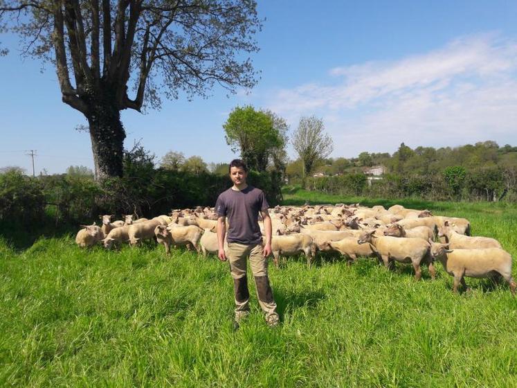 Maxime Baron, jeune éleveur de plus de 600 brebis au lieu-dit La Vallée, à Nueil-les-Aubiers, va « perdre » environ 4500€ d’aides cette année.