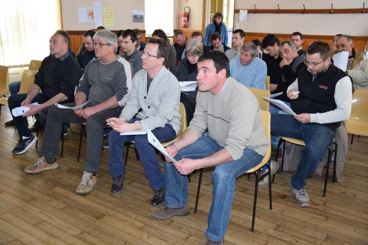 Malgré la crise laitière, les éleveurs de prim’holstein sont mobilisés pour le festival de Chabanais.