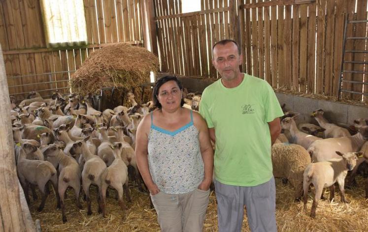 Si le matériel a été conçu pour leur élevage de volailles, Laure et Loïc Rochard n’excluent pas de l’adapter pour leurs 230 brebis, un cheptel en augmentation pour faire face aux demandes.