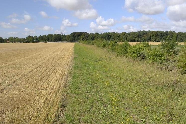 Une aide base à l'hectare sera introduite dans tous les pays de l'Union avant de converger vers un montant unique au plus tard en 2018.