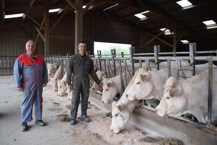 Les associés du Gaec La Closerie investissent 4 euros par vache dans l’échographie, un coût nécessaire pour « mieux préparer les vaches, adapter les rations et gérer les temps de surveillance ».