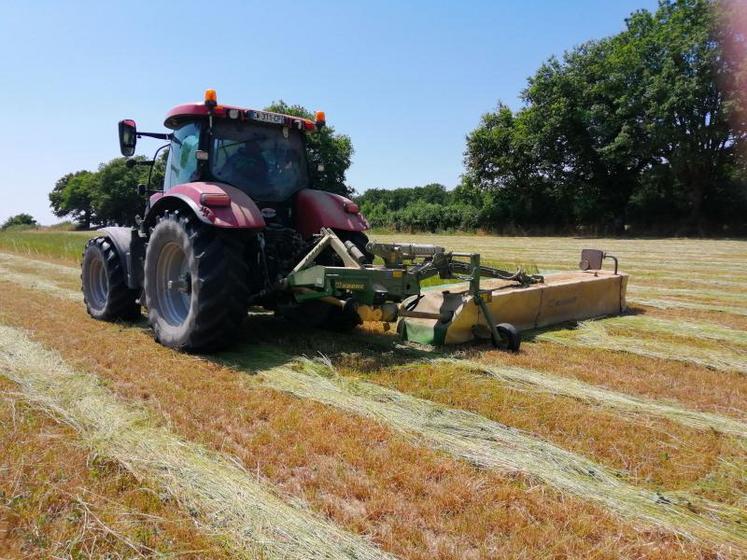 Deuxième coupe de ray-grass, mardi 2 juillet, à Le Plessis Olivier, à Chiché, pour Sébastien Lavens, éleveur de brebis allaitantes.