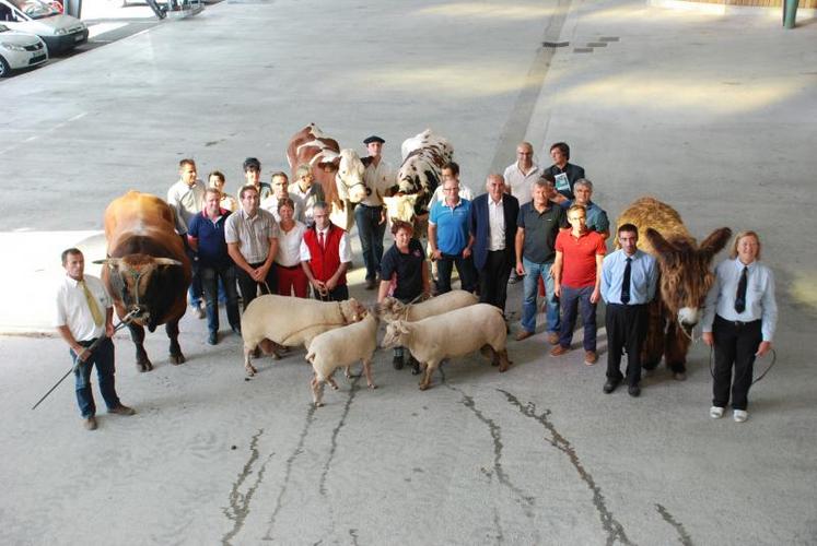 Cent cinquante éleveurs exposants, 800 animaux, bovins, ovins, équins et caprins ont rendez-vous au marché aux bestiaux de Parthenay du 25 au 27 septembre pour le Festival de l’élevage et de la gastronomie 2015. Soixante-dix partenaires sont mobilisés.