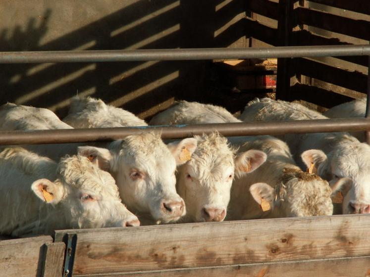 L'alimentation et la gestion des bâtiments font partie des points à vérifier lors de cette période cruciale.