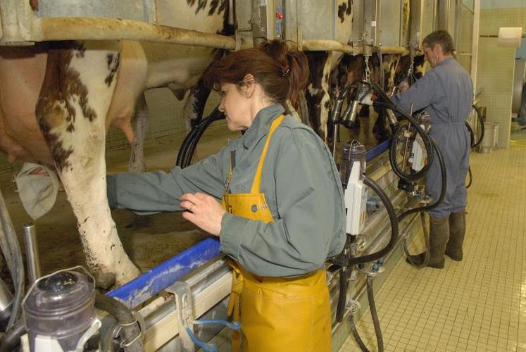 La filière bovins lait est la plus pourvoyeuse d’emplois salariés en Deux-Sèvres actuellement. Cinq recrutements, en CDI
ou en contrat de longue durée, étaient ouverts au 9 février.