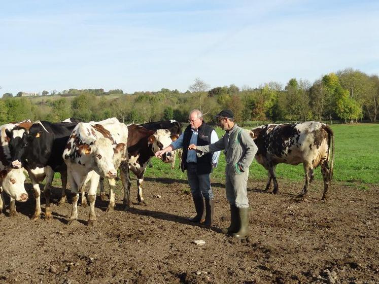 « Le croisement fait partie des solutions aujourd’hui mises en œuvre dans les élevages en recherche de valorisation », analyse Michel Lestable (à gauche), aux côtés de Jean-Lou Taunay.