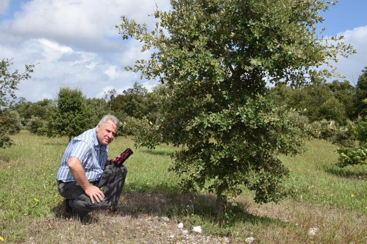 Régis Mesnier, trufficulteur de Saint-Cybardeaux, hygromètre à la main.