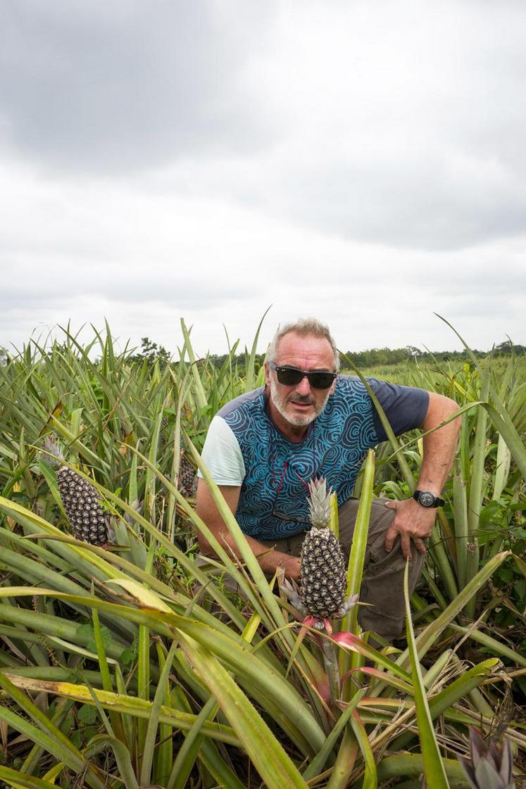 Jean-Luc Gelin pose devant un ananas, à la ferme d’Akapé, au Togo.