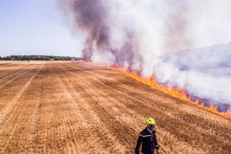 En Charente-Maritime, les feux de récoltes sont en augmentation ces dernières année : 90 en 2017, 114 en 2018 et 128 en 2019.