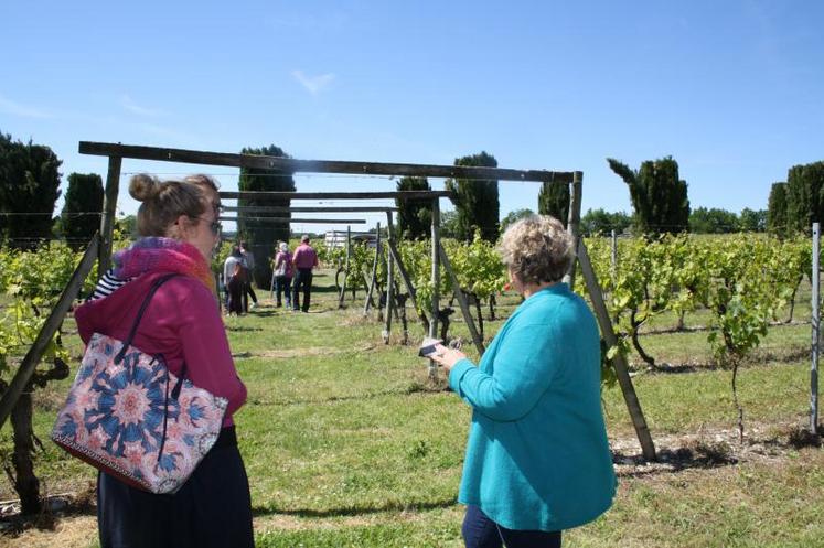 Le Cep Enchanté accueille les visiteurs loin de la côte, à Macqueville.
