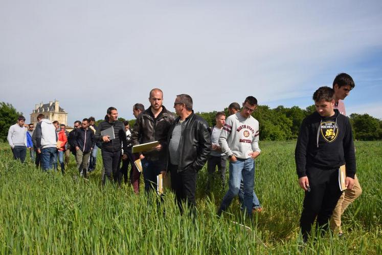 Beaucoup d'hommes entre les parcelles de blé bio, jeudi matin 16 mai, lors de la journée « Du bio dans les tuyaux ». L'après-midi, des démonstrations de matériels de désherbage se sont enchaînées (photos et vidéo ci-dessous).